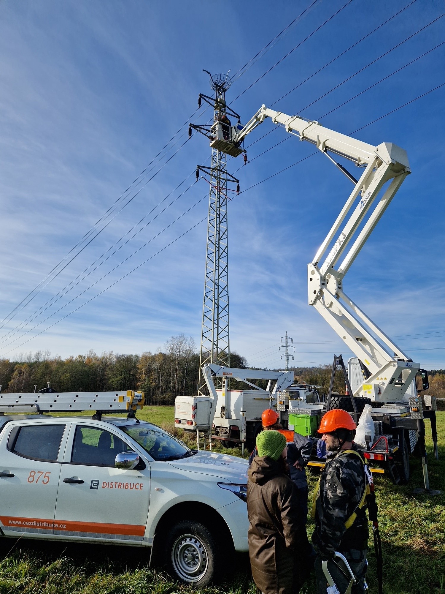 Vzácný orlovec říční již může zahnízdit. I díky ČEZ Distribuci | ČEZ ...