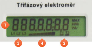 ZE 310